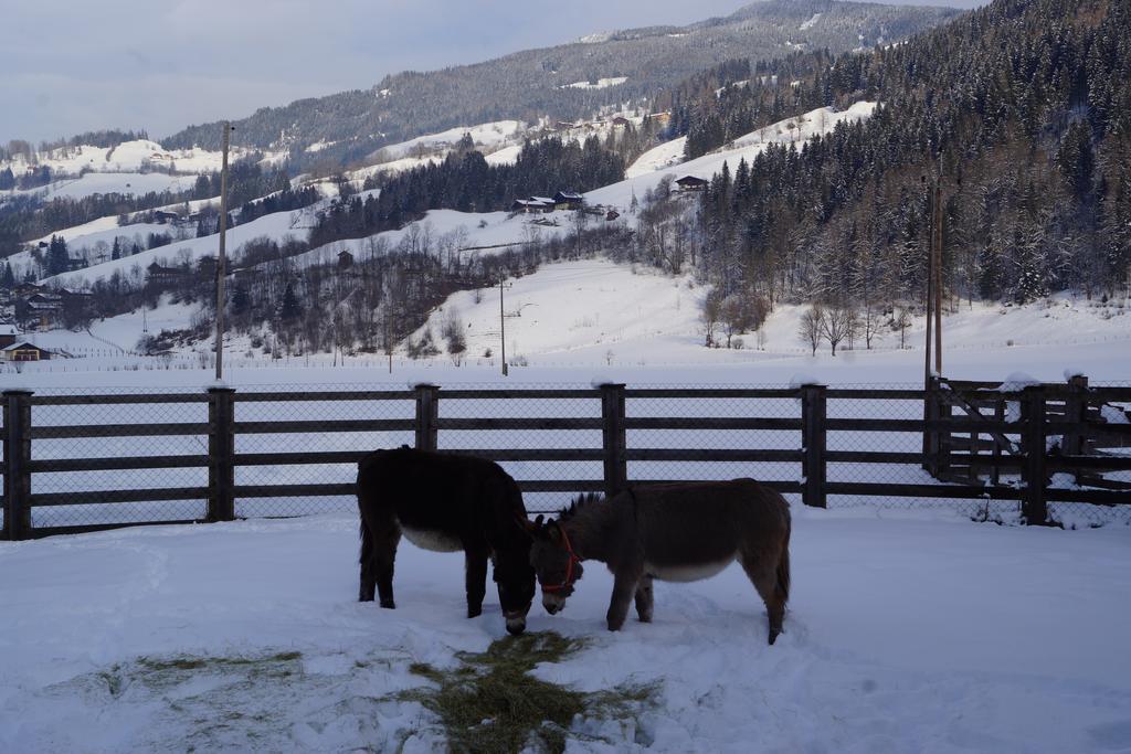 Villa Bio-Bauernhof Reiterhof Sankt Johann im Pongau Esterno foto